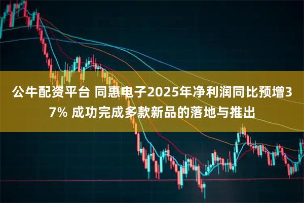 公牛配资平台 同惠电子2025年净利润同比预增37% 成功完成多款新品的落地与推出